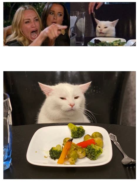 고양이 식탁 짤